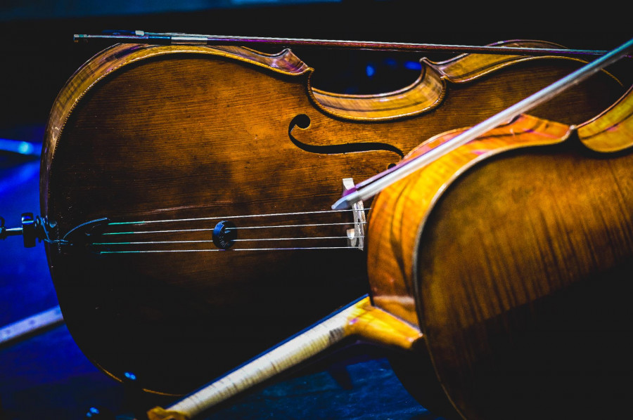 International Cello Competition Budapest - Preliminary 